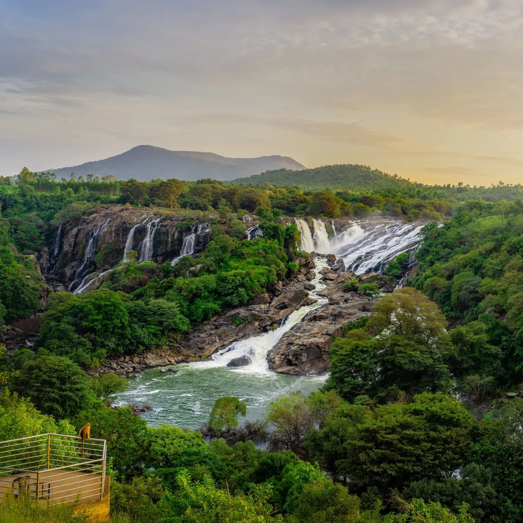 Falling Water — Meghalaya