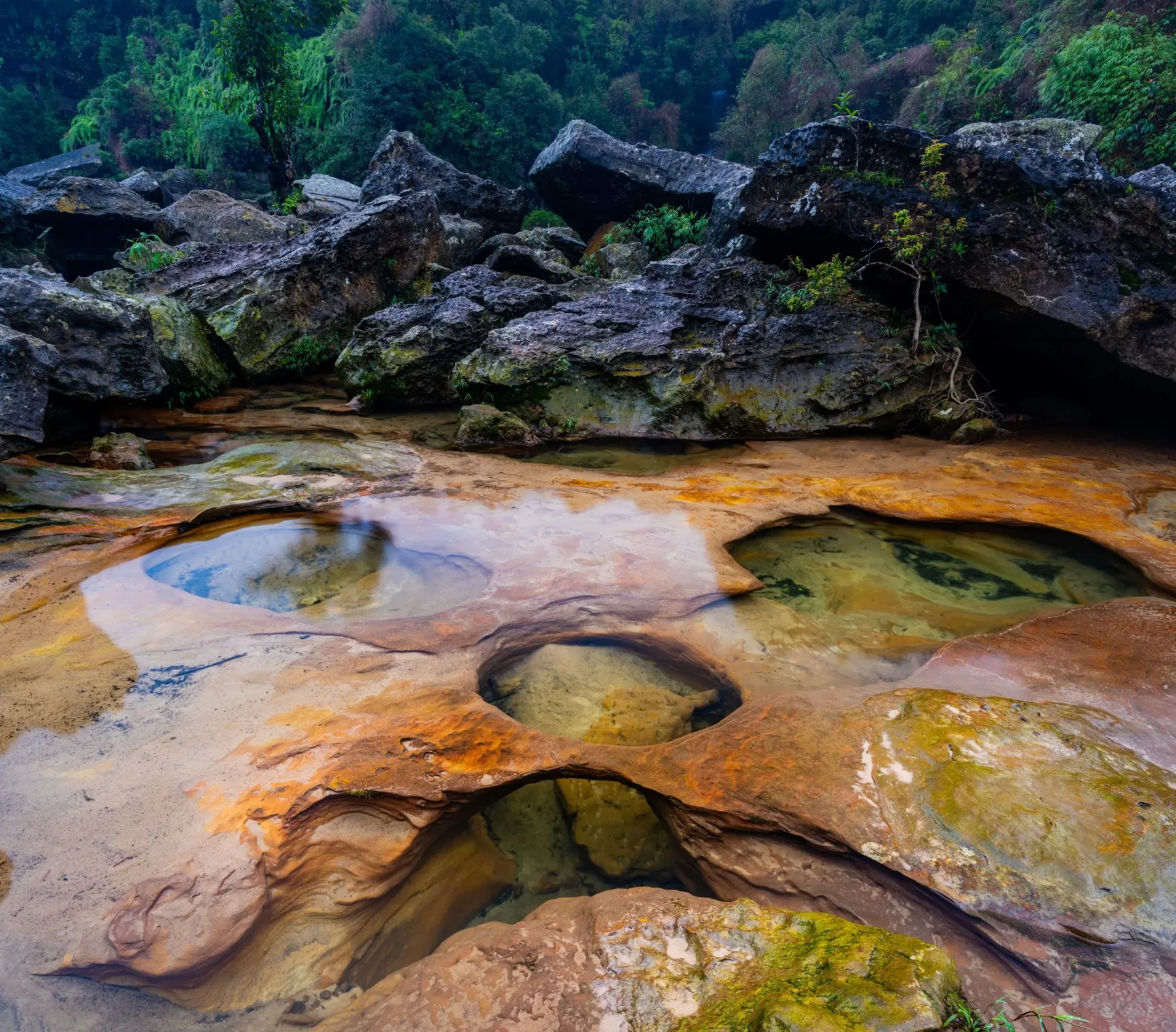 The Small World — Western Ghats